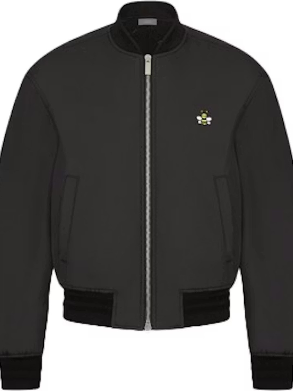 KAWS x Dior Bee Nylon Bomber jacket